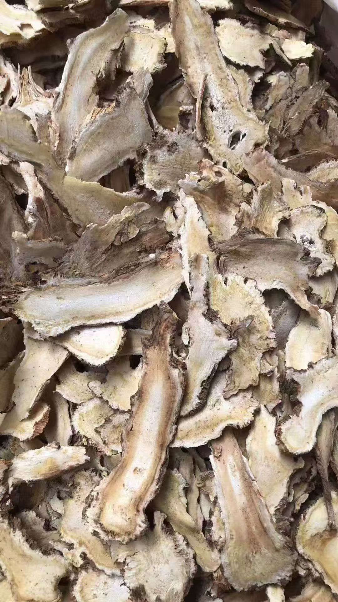 白色桌面上摆放的当归中药饮片,整齐排列,干燥状态,自然光线照射,传统中医药材展示