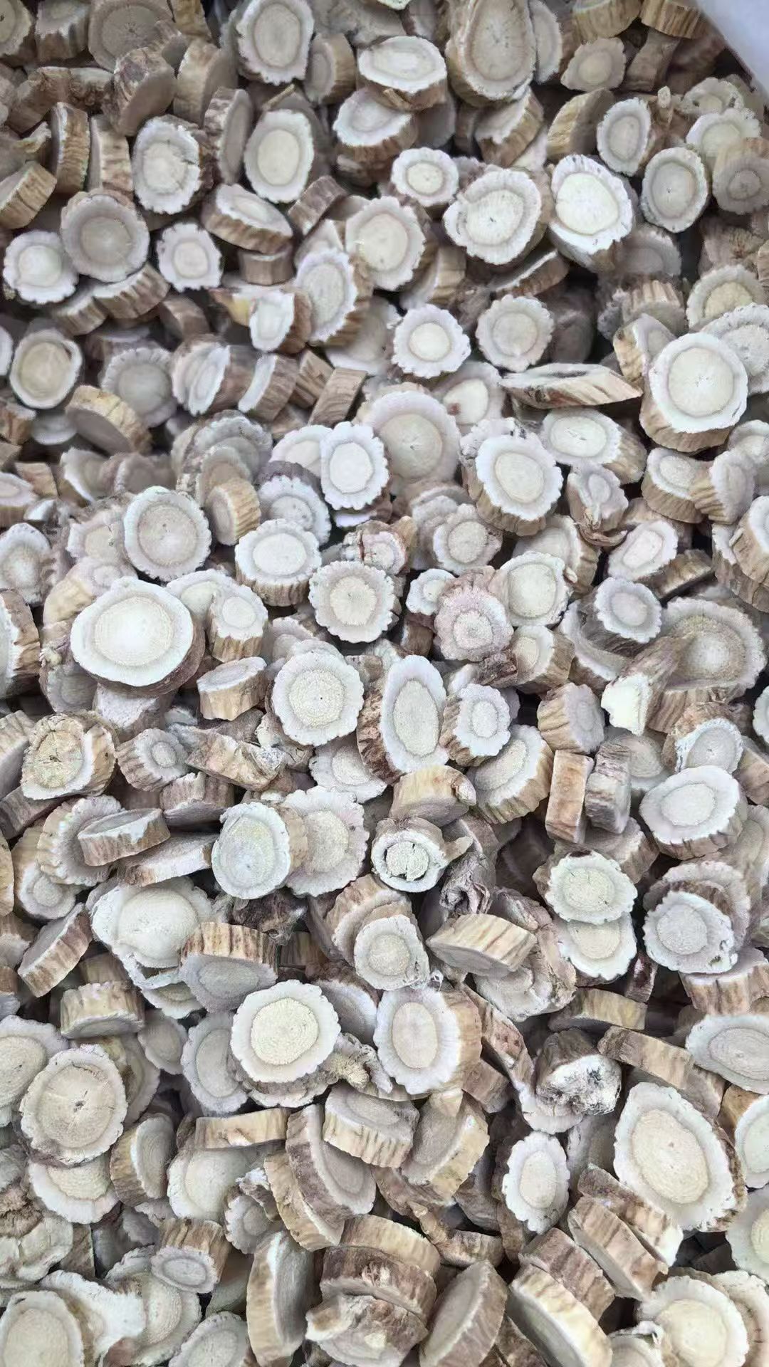 玻璃容器中盛放的党参饮片,呈段状切割,色泽自然,透明容器展示,专业中药储存环境